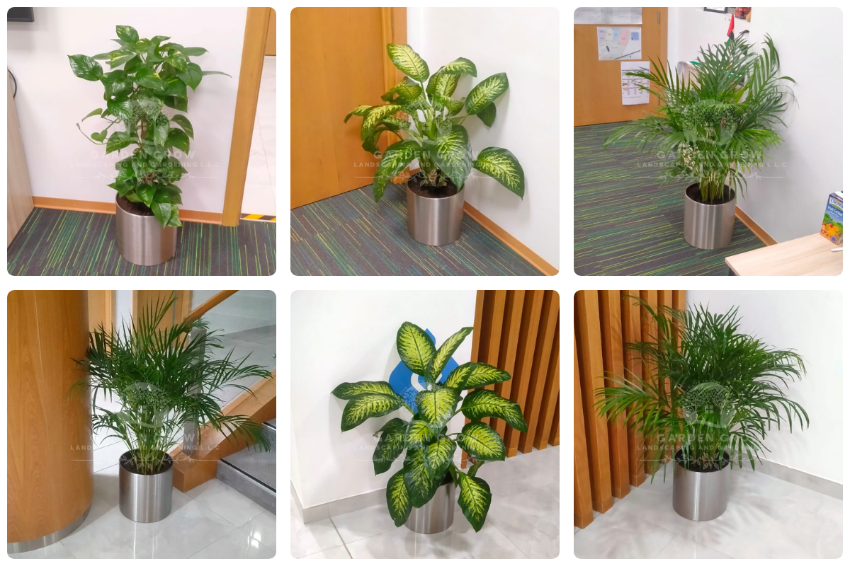 GEMS Metropole School - Al Waha 1