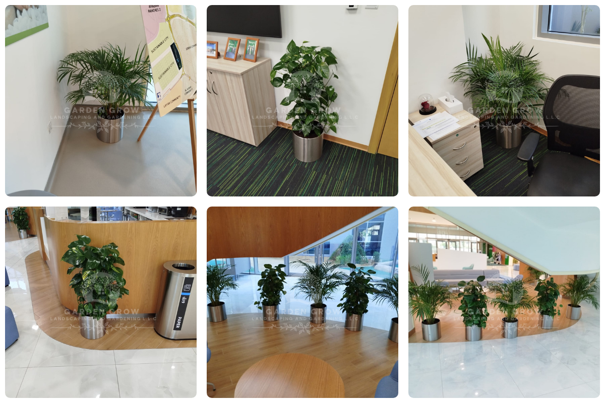 GEMS Metropole School - Al Waha 10