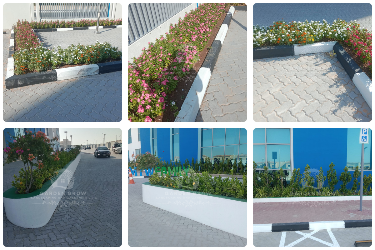 GEMS Metropole School - Al Waha 5