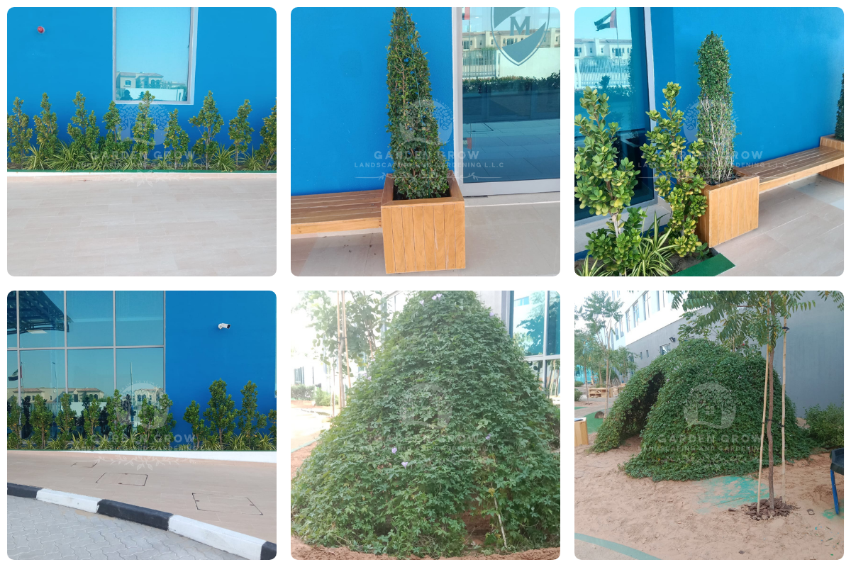 GEMS Metropole School - Al Waha 6