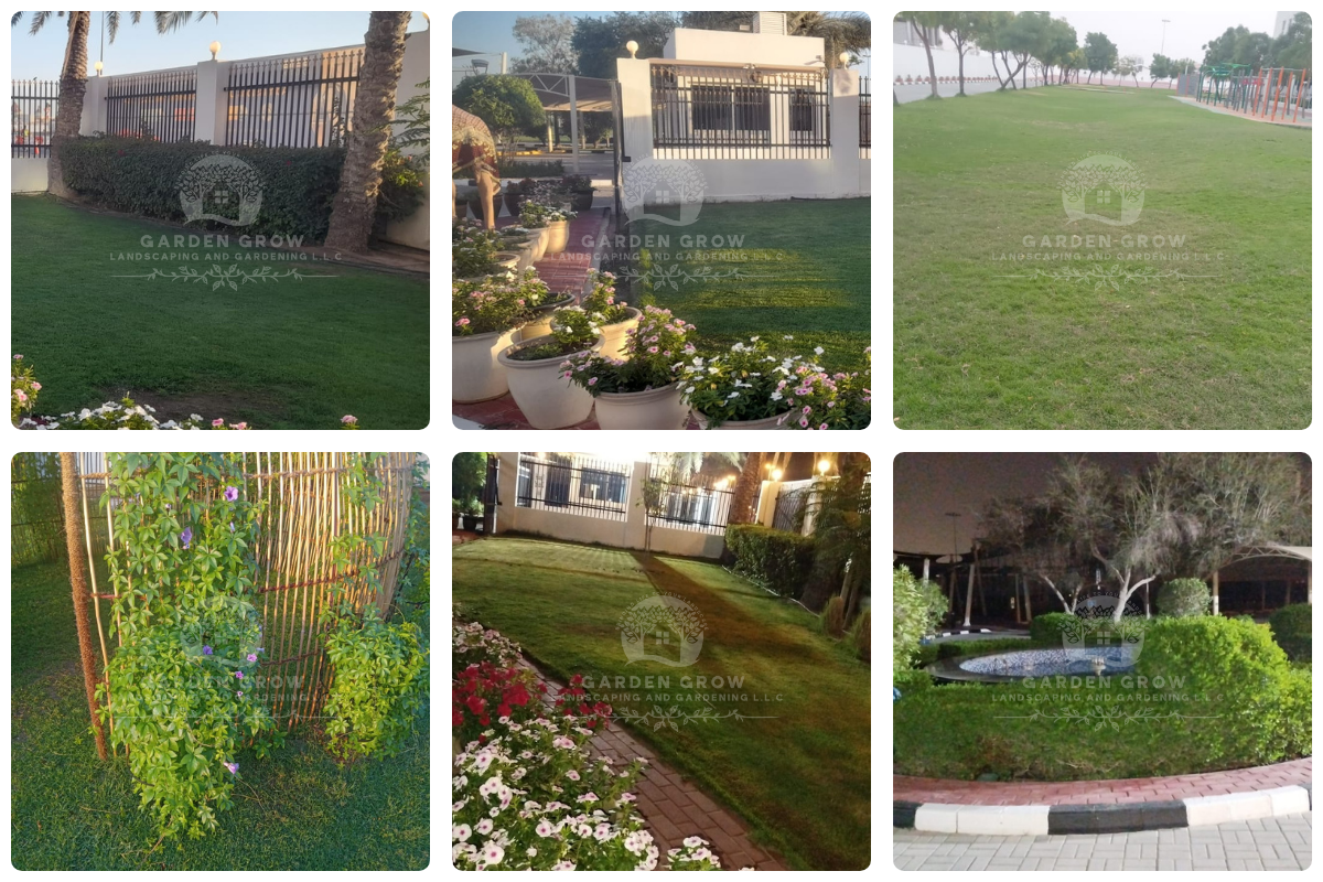 GEMS Modern Academy Dubai 1