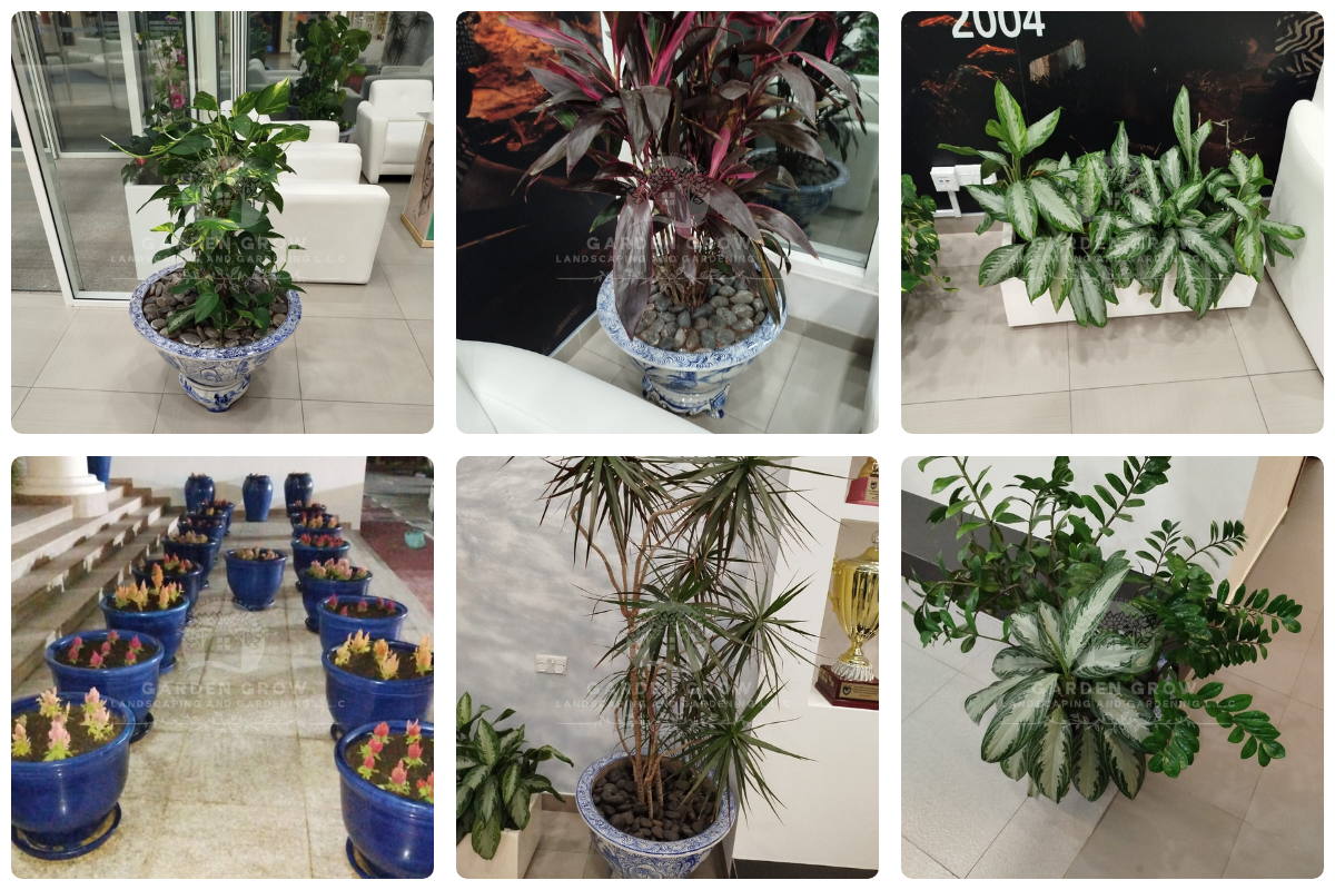 GEMS Modern Academy Dubai 3