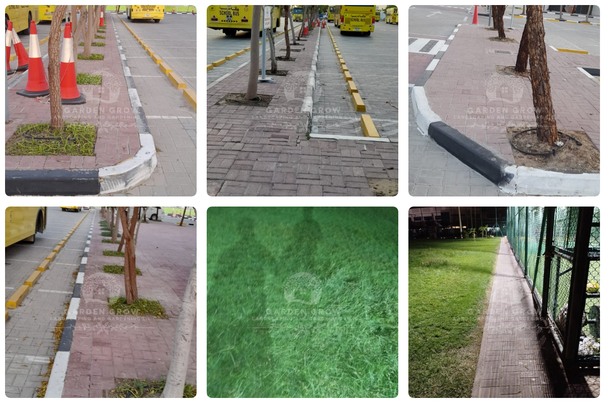 GEMS Modern Academy Dubai 5