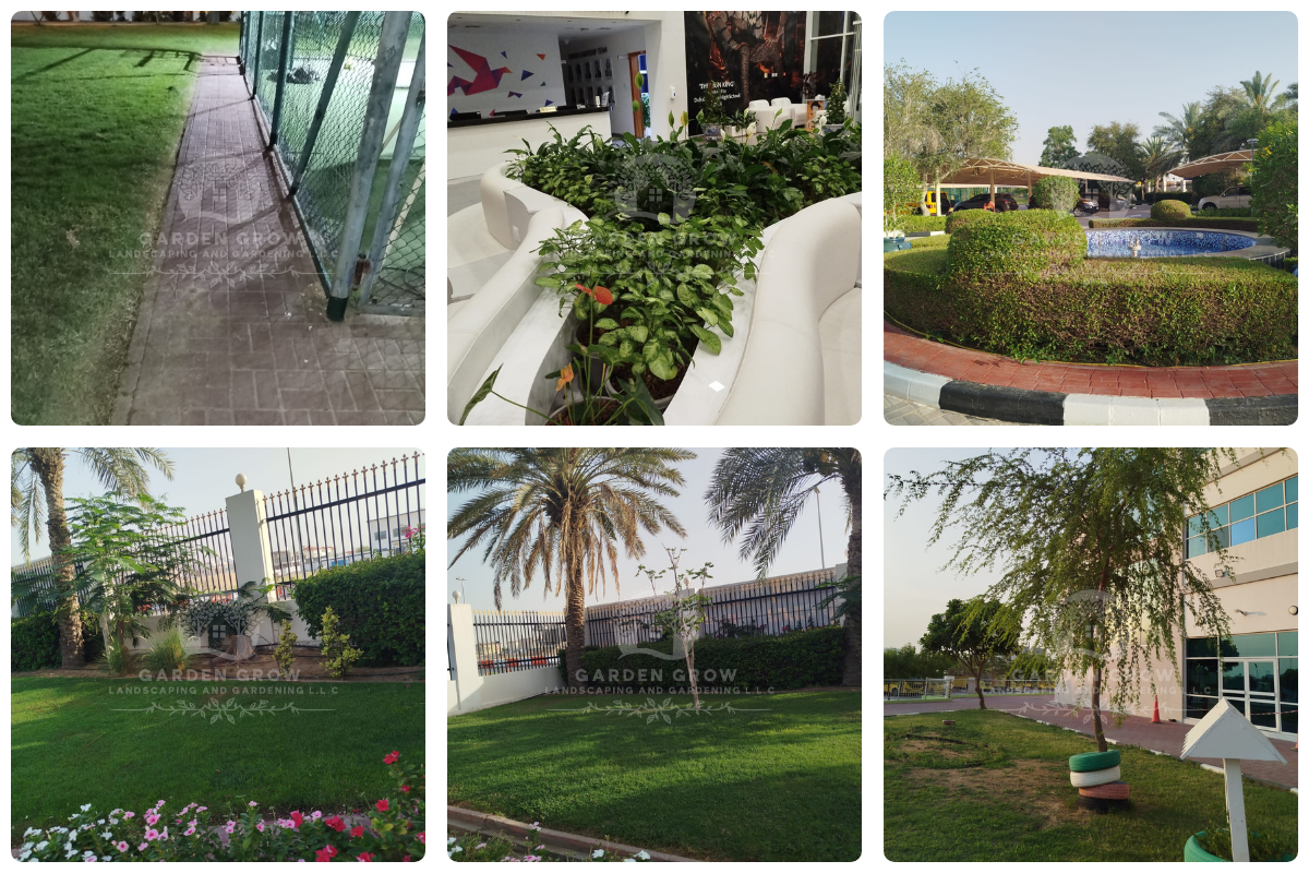 GEMS Modern Academy Dubai 6