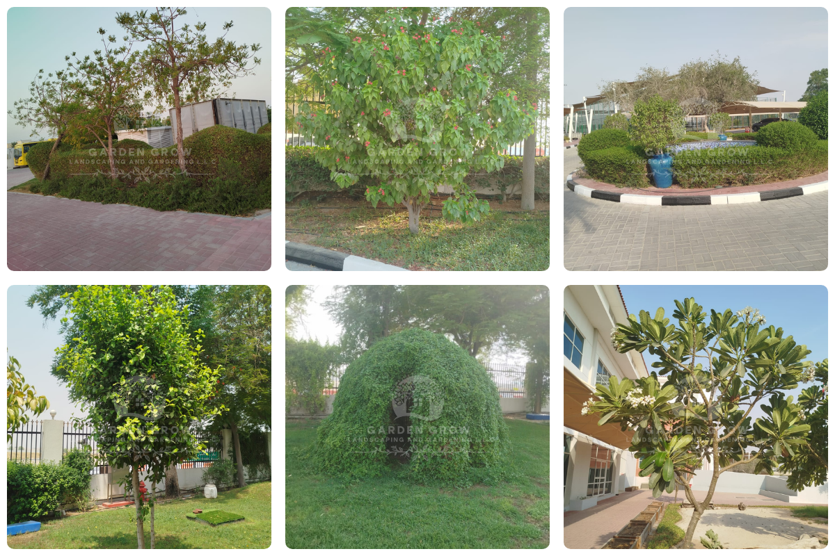 GEMS Modern Academy Dubai 8