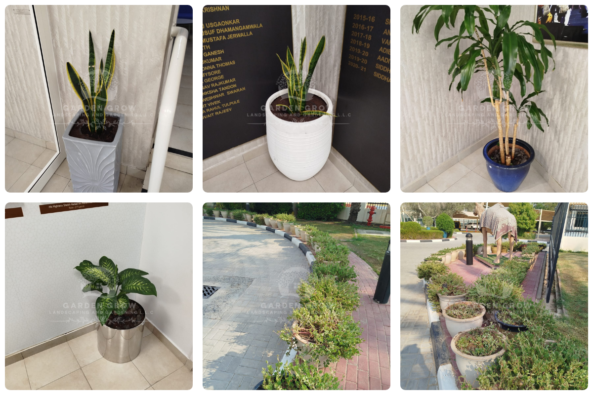 GEMS Modern Academy Dubai 9