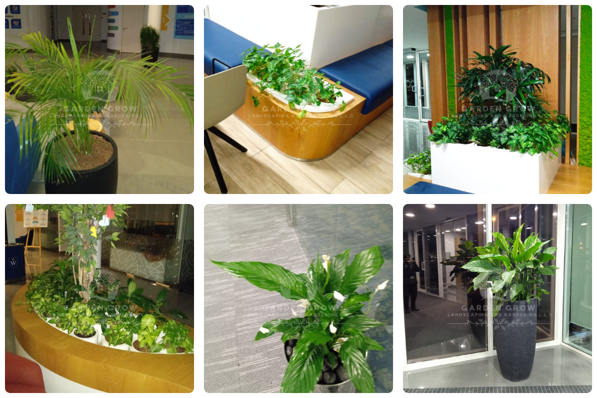 GEMS Wellington Academy - Al Khail 1