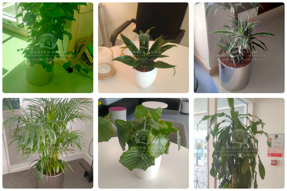 GEMS Wellington Academy - Al Khail 10