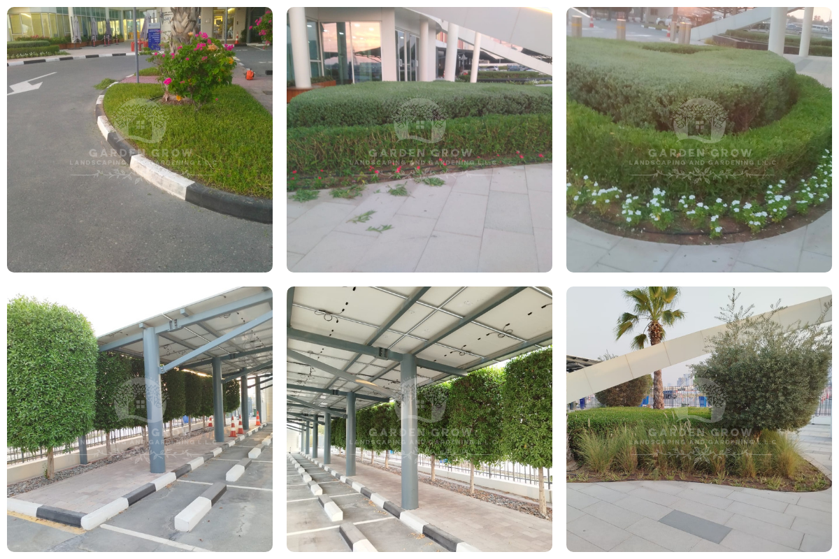 GEMS Wellington Academy - Al Khail 11