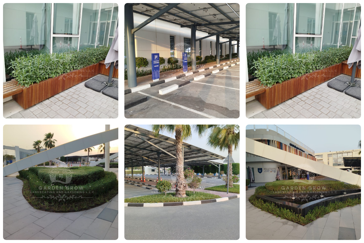 GEMS Wellington Academy - Al Khail 12