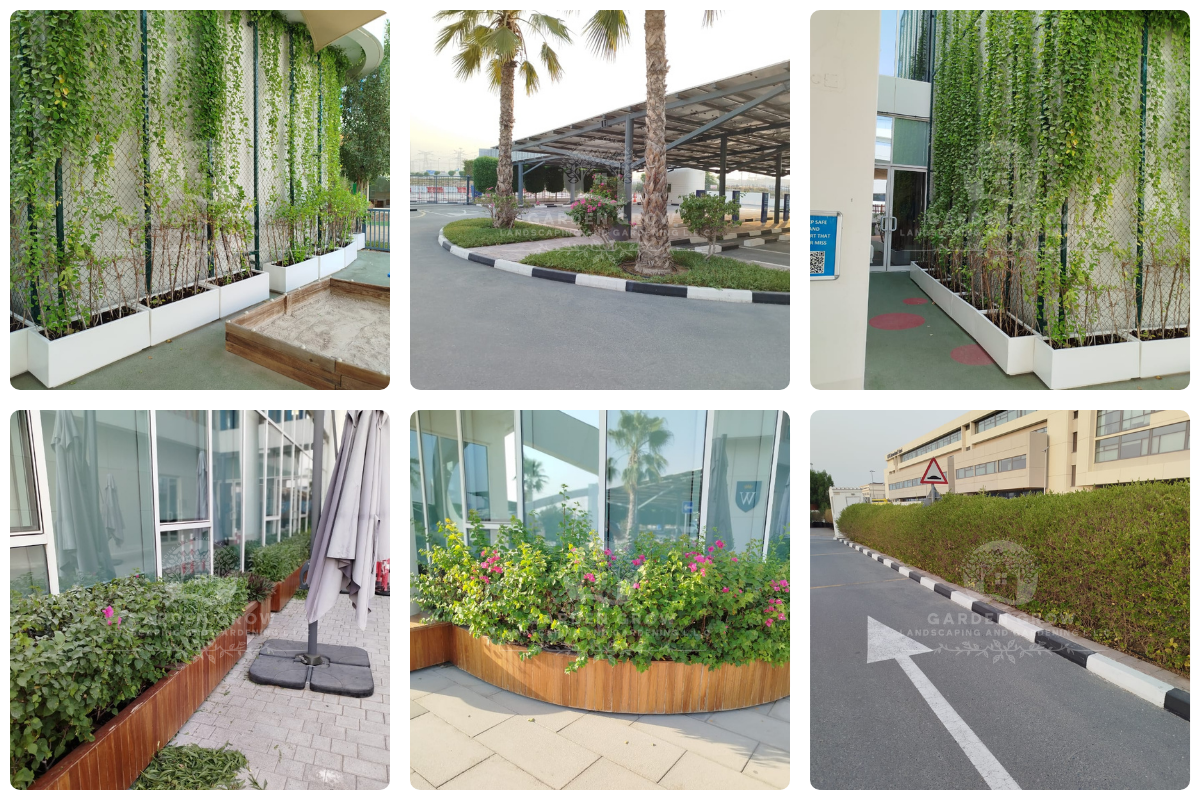 GEMS Wellington Academy - Al Khail 13