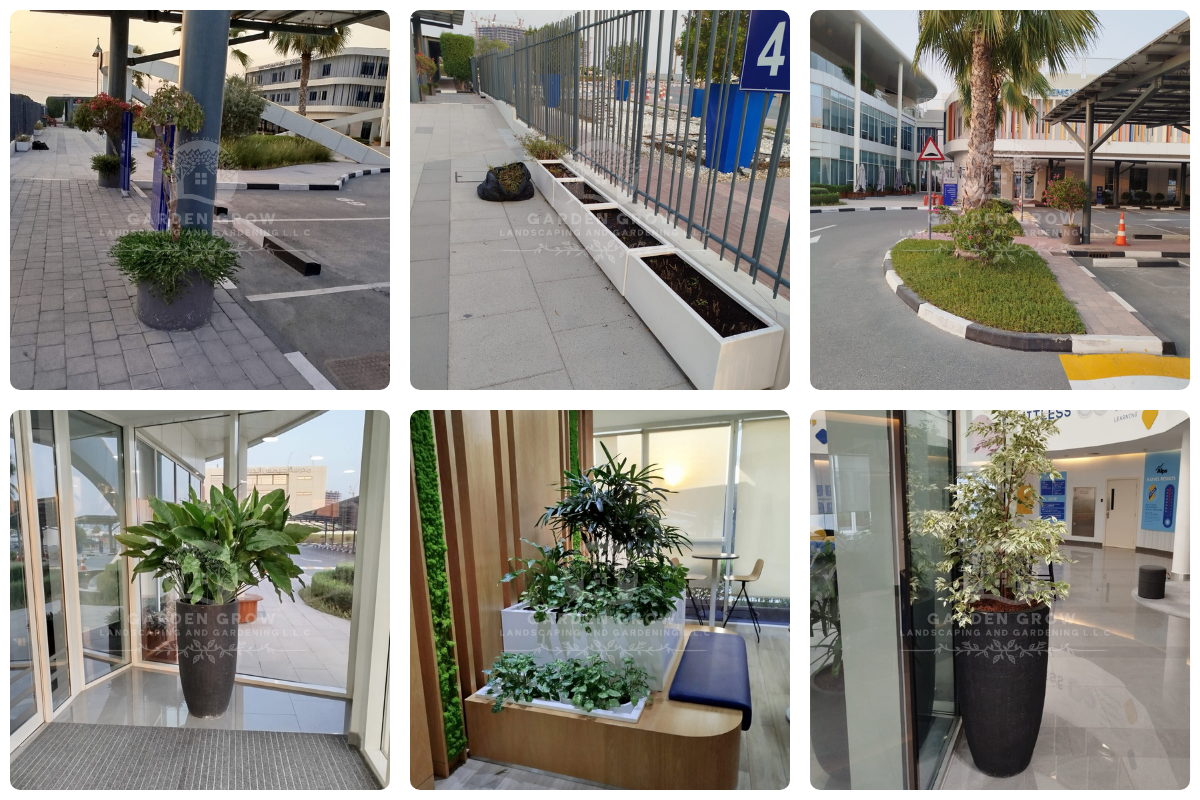 GEMS Wellington Academy - Al Khail 14