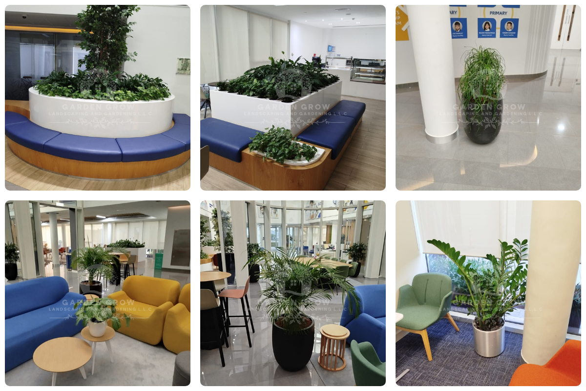 GEMS Wellington Academy - Al Khail 15