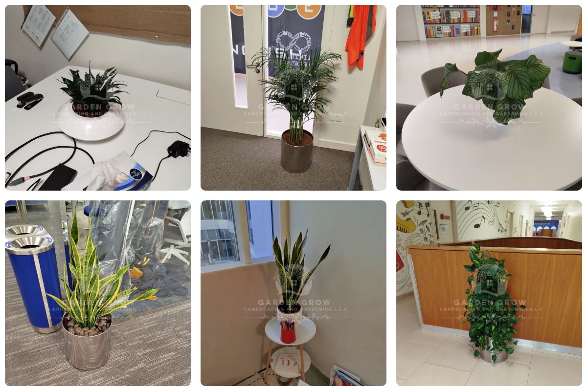 GEMS Wellington Academy - Al Khail 16