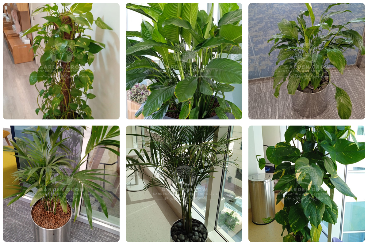 GEMS Wellington Academy - Al Khail 2