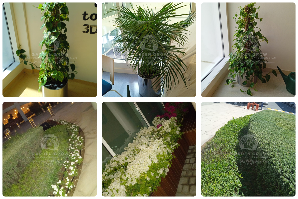 GEMS Wellington Academy - Al Khail 3