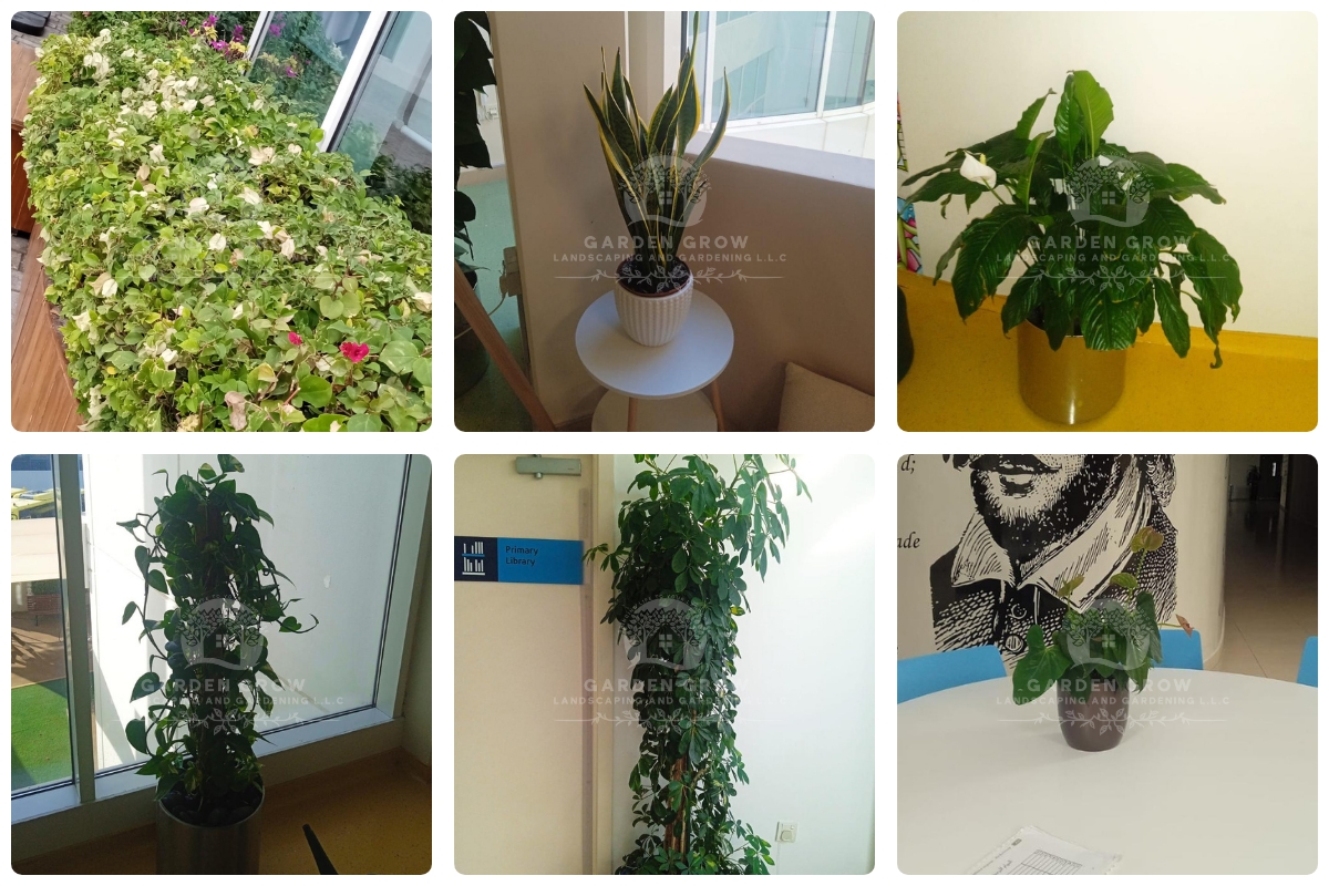 GEMS Wellington Academy - Al Khail 4