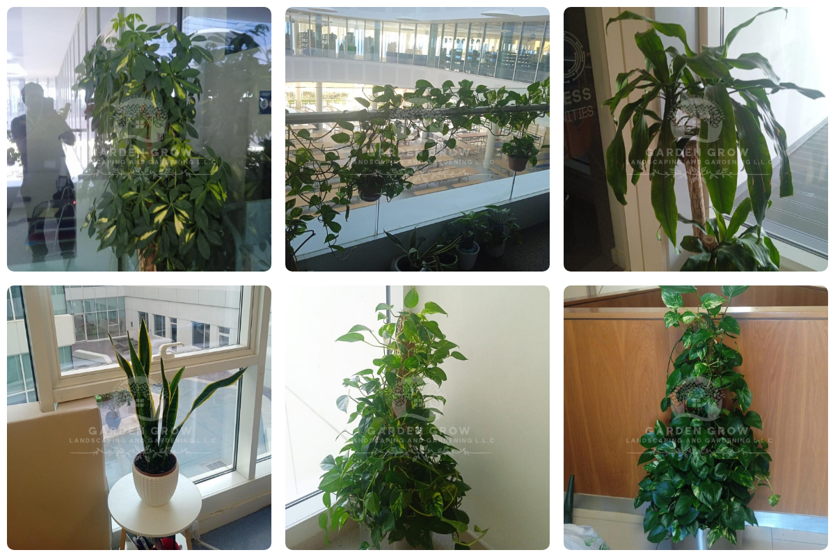 GEMS Wellington Academy - Al Khail 5