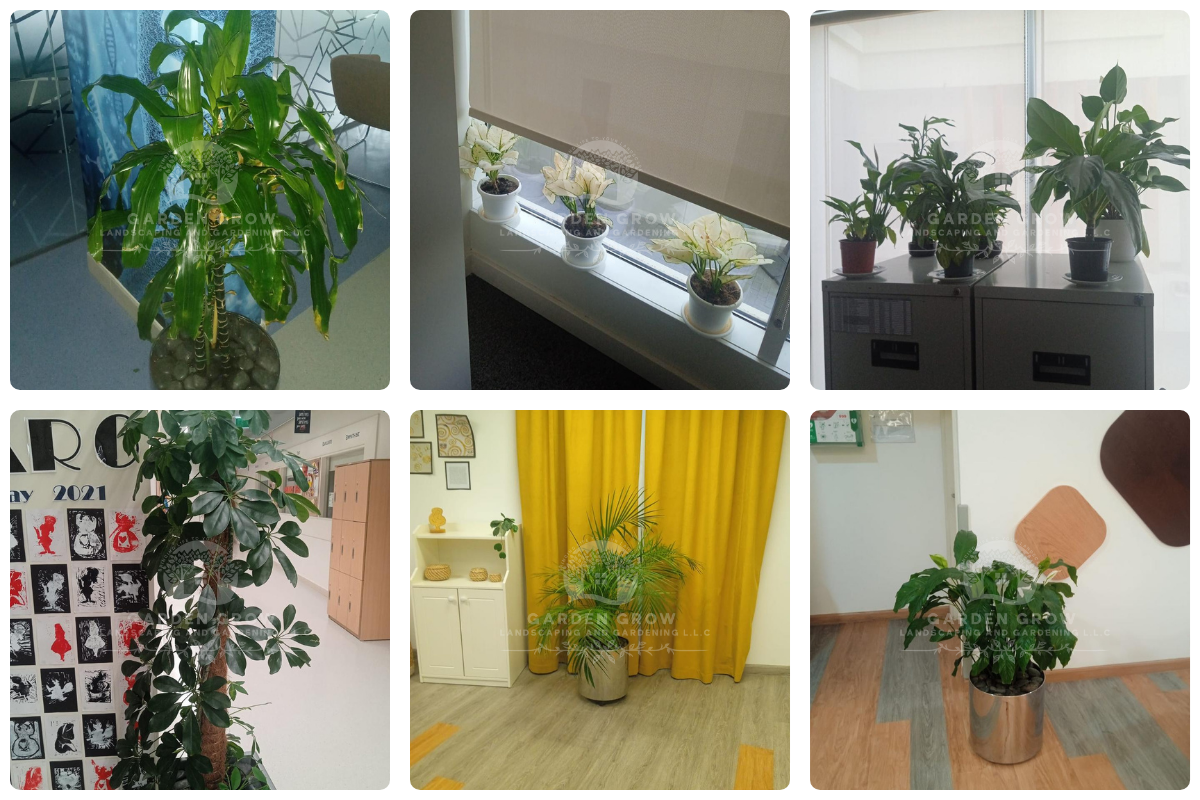 GEMS Wellington Academy - Al Khail 6