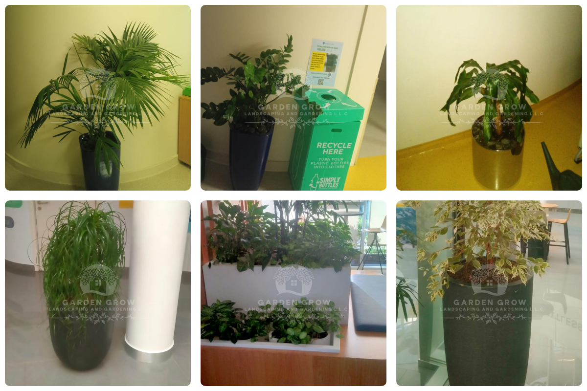 GEMS Wellington Academy - Al Khail 7