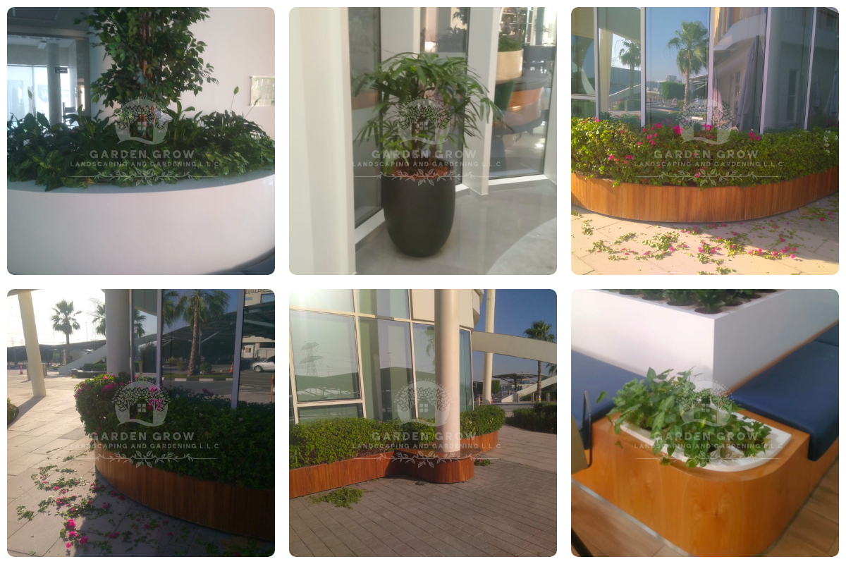 GEMS Wellington Academy - Al Khail 8