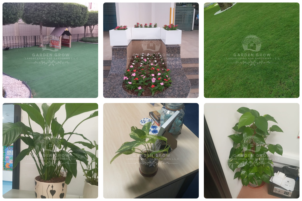 GEMS Winchester School Abu Dhabi 3