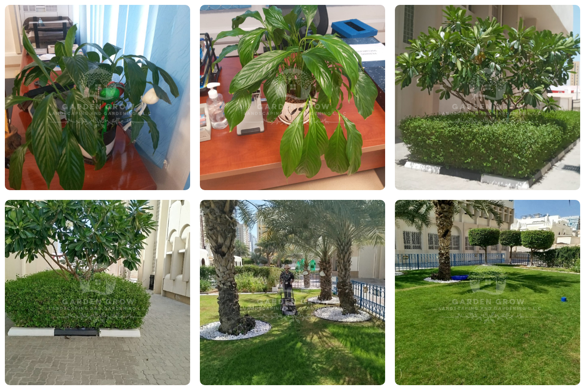 GEMS Winchester School Abu Dhabi 7