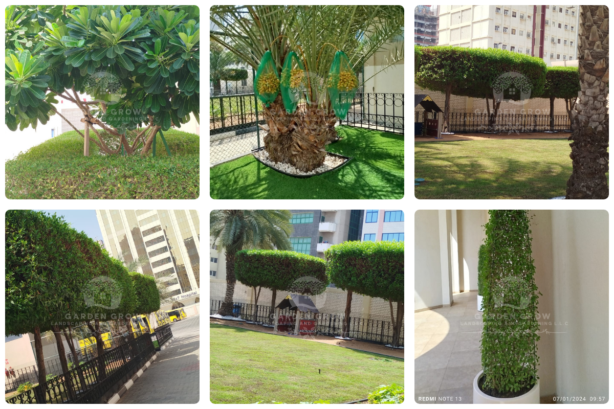 GEMS Winchester School Abu Dhabi 9