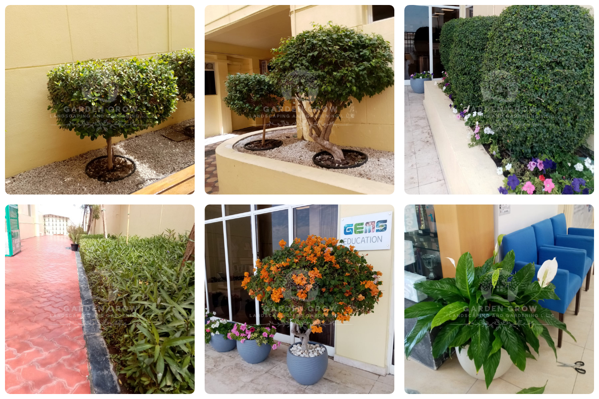 Gems The Cambridge High School Abu Dhabi 1