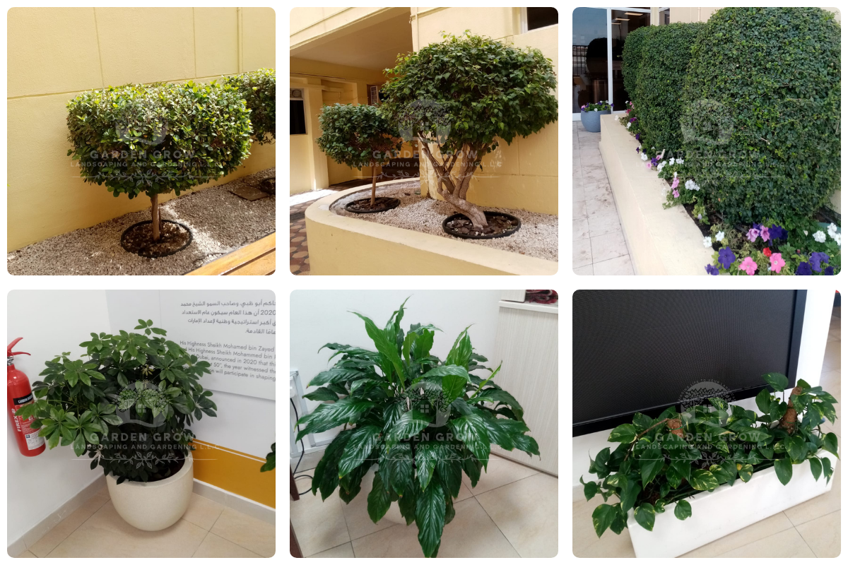 Gems The Cambridge High School Abu Dhabi 2