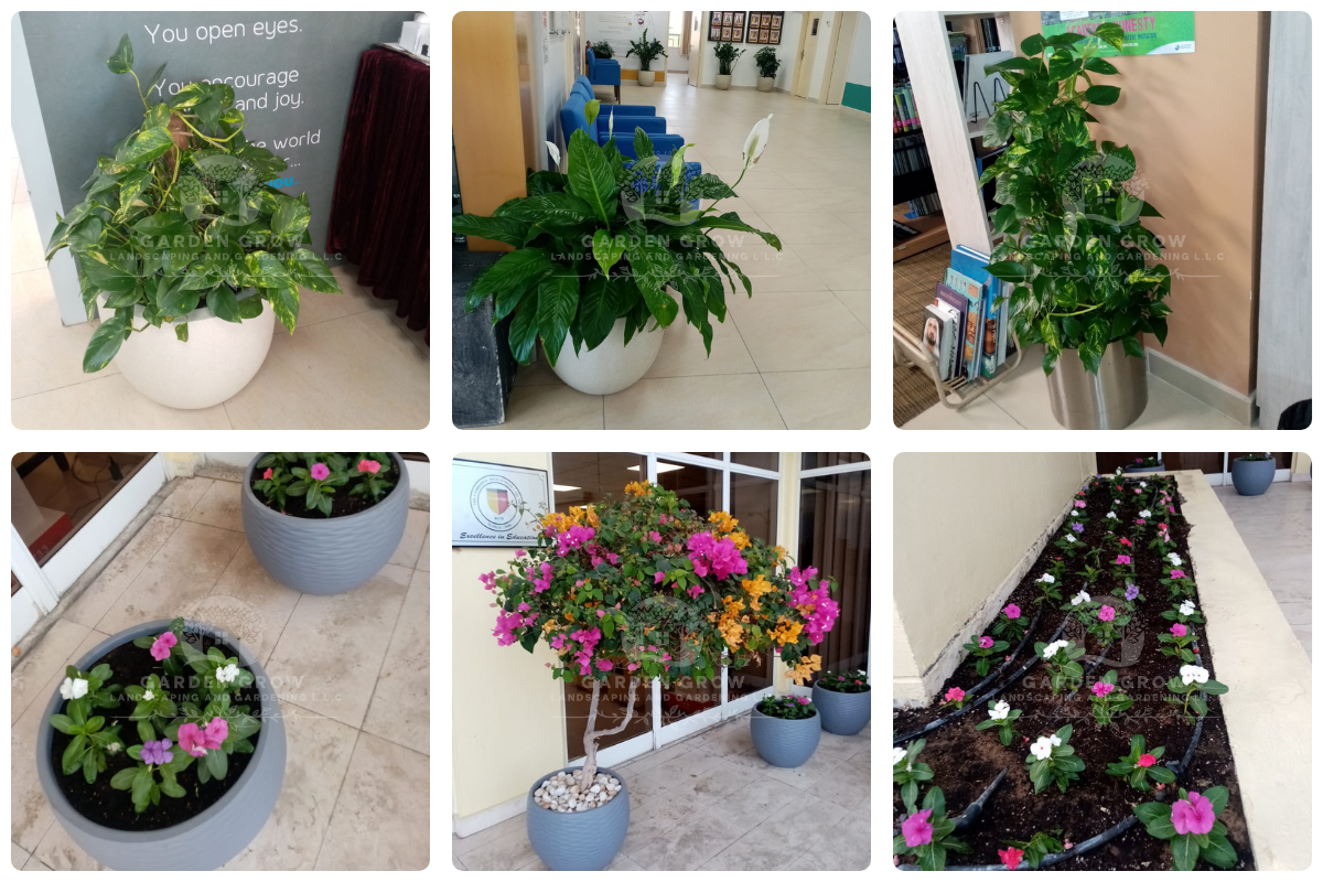 Gems The Cambridge High School Abu Dhabi 3