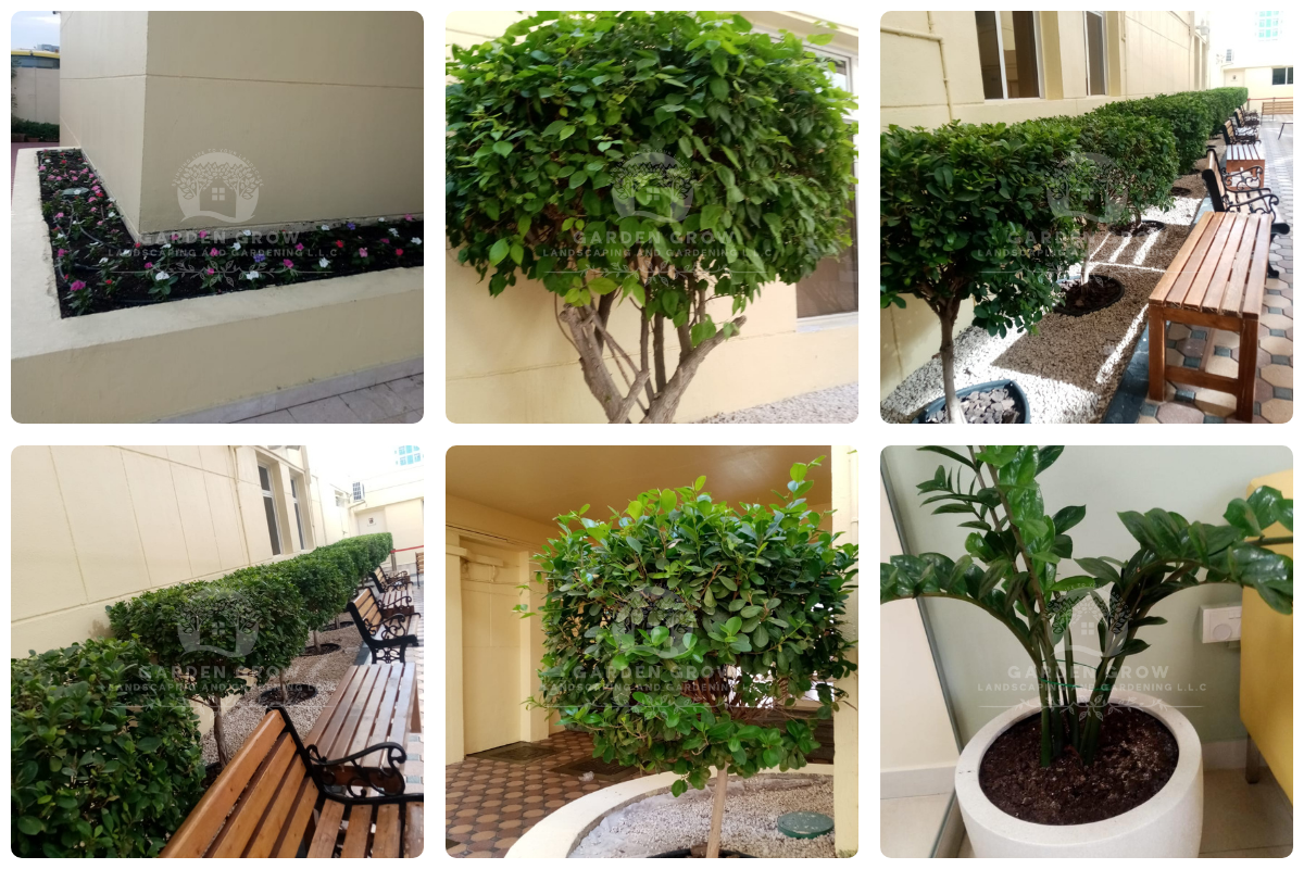 Gems The Cambridge High School Abu Dhabi 4