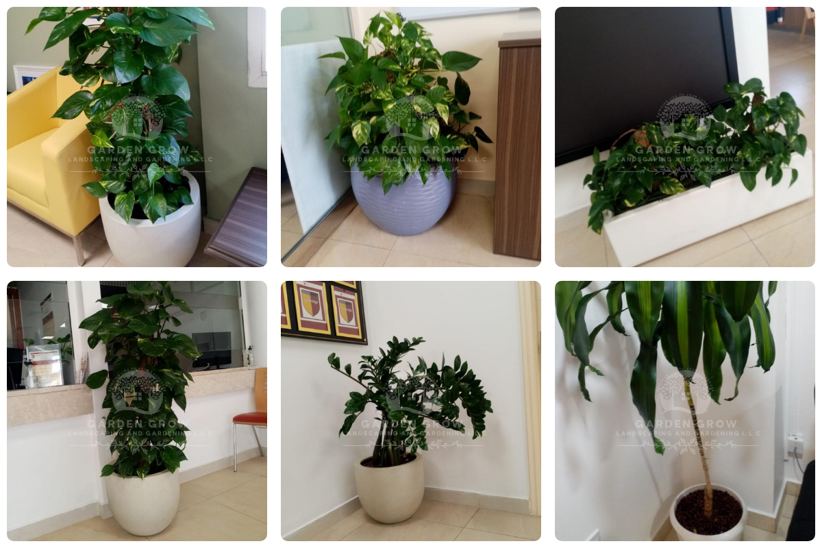 Gems The Cambridge High School Abu Dhabi 5