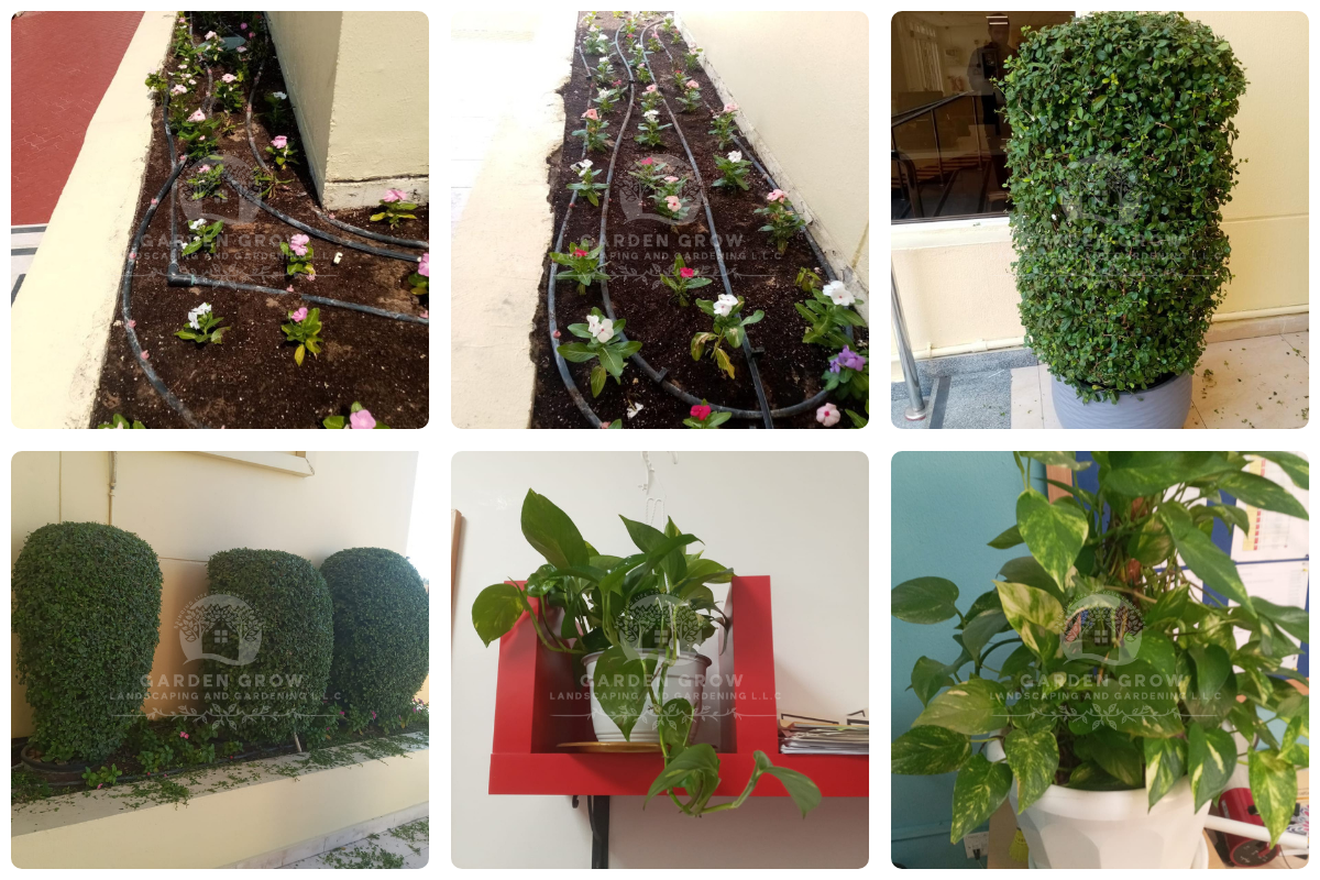 Gems The Cambridge High School Abu Dhabi 6