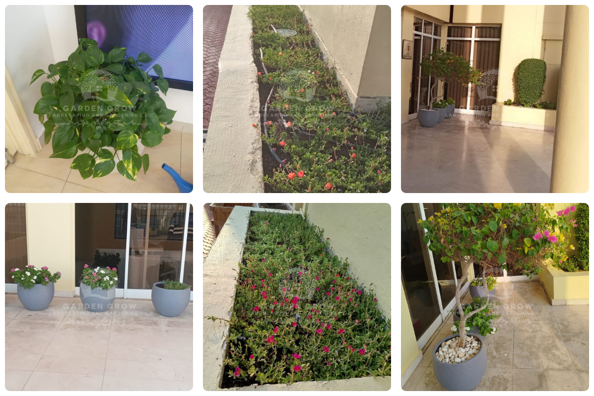 Gems The Cambridge High School Abu Dhabi 8