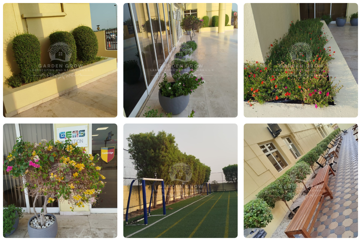 Gems The Cambridge High School Abu Dhabi 9