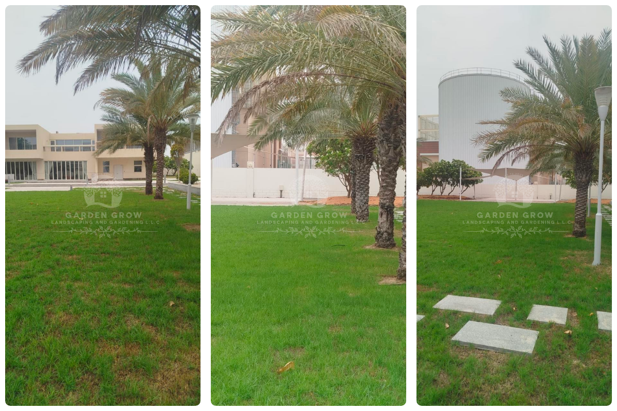 Embassy of the Republic of Korea, Abu Dhabi (2)