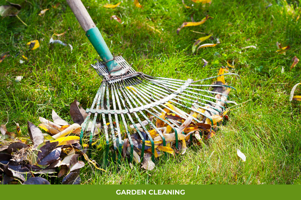 garden cleaning